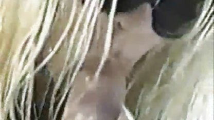 Aku ingin melihat apa yang seorang kontil panjang pria sejati terlihat seperti